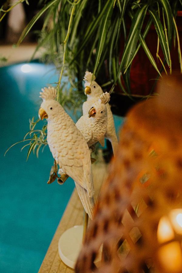 El Jardin De Gala Villa Castejon de Monegros Ngoại thất bức ảnh