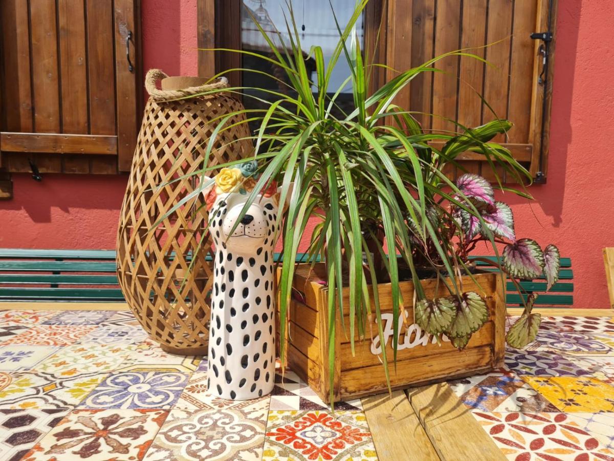 El Jardin De Gala Villa Castejon de Monegros Ngoại thất bức ảnh