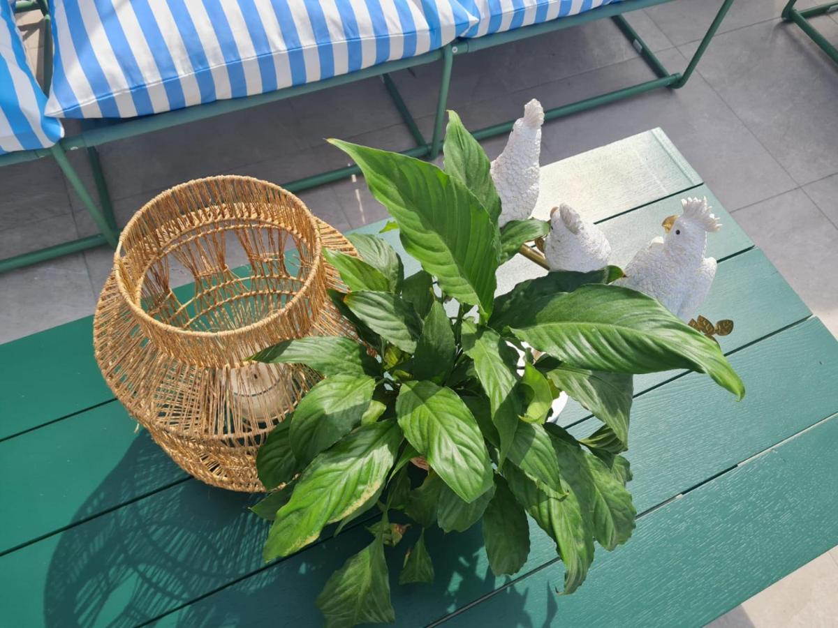El Jardin De Gala Villa Castejon de Monegros Ngoại thất bức ảnh