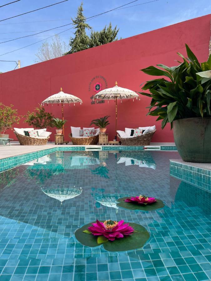 El Jardin De Gala Villa Castejon de Monegros Ngoại thất bức ảnh